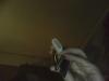 post-510-1295886360_thumb.jpg