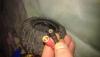 post-22930-1326470228_thumb.jpg