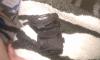 post-8071-1361637983_thumb.jpg