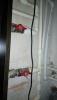 post-96-0-93466700-1487342183_thumb.jpg