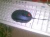 post-13171-1300087800_thumb.jpg