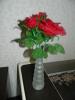 post-26921-1362323583_thumb.jpg