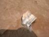post-15525-0-05765100-1372956584_thumb.jpg