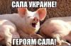 post-28453-0-45708200-1407251647_thumb.jpg