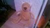post-34150-0-09825400-1380128773_thumb.jpg