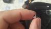 post-17936-0-38657100-1415901264_thumb.jpg
