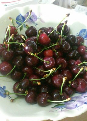 Черешня 2.JPG