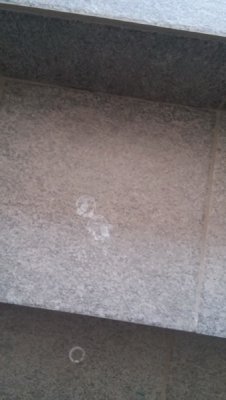 20160101_131629_новый размер.jpg