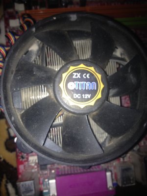 image.jpeg