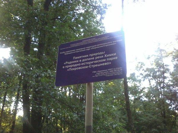 2013-08-02 20.19.59.jpg