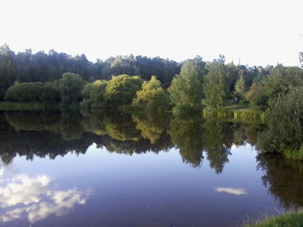 2013-08-02 19.54.33.jpg