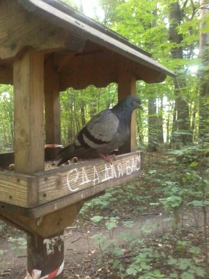 2013-08-02 20.15.50.jpg