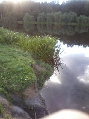 2013-08-02 19.54.24.jpg