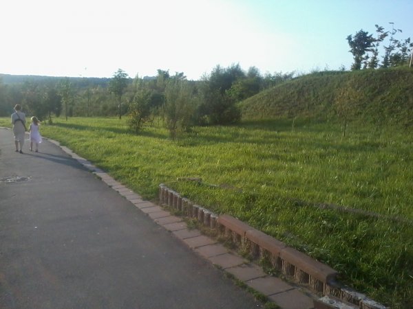 2013-08-10 19.59.36.jpg