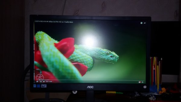 20170913_005023.thumb.jpg.7d3baf792ff800a5385bdb4eca202dee.jpg
