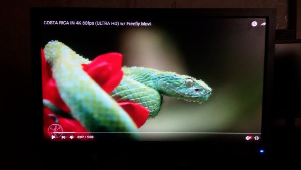 20170913_005312.thumb.jpg.7e68a103b68098d69ca767fc369d02ed.jpg