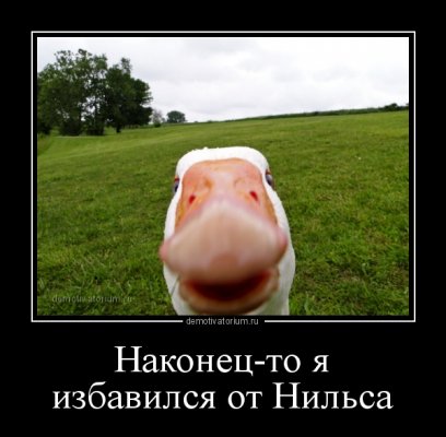 demotivatorium_ru_nakonecto_ja_izbavilsja_ot_nilsa_115460.jpg