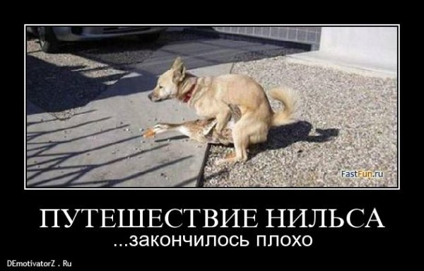 puteshestvie-nilsa_2069_demotivatorz.ru.jpg