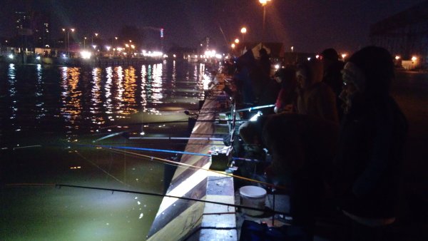 IMG_20171230_172255.jpg