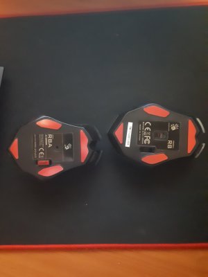 20180317_065116.jpg