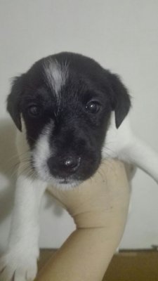 WhatsApp Image 2018-03-06 at 11.52.30.jpeg