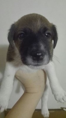 WhatsApp Image 2018-03-06 at 11.52.21.jpeg