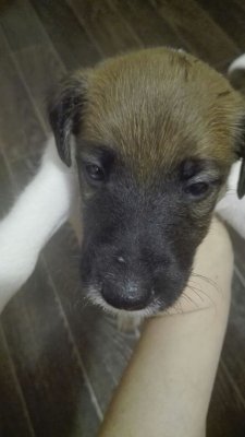 WhatsApp Image 2018-03-06 at 11.52.30 (1).jpeg