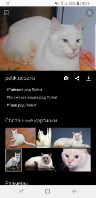 Screenshot_20180922-192358_Samsung Internet.jpg