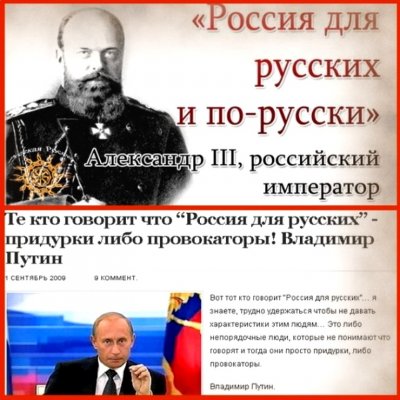 2404618_original.jpg