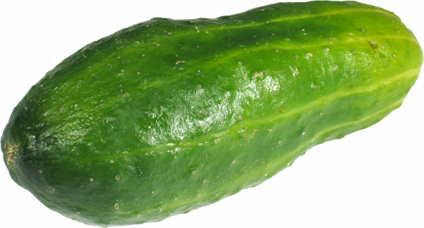 cucumber016.png
