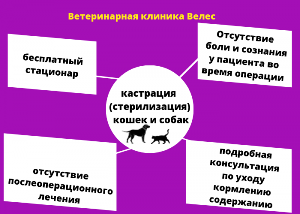 пост в контакт (13).png