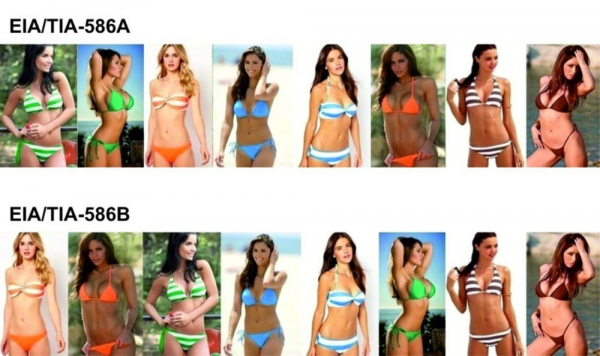 image.thumb.png.24adc2fcd95785516d419c638936dfd3.png