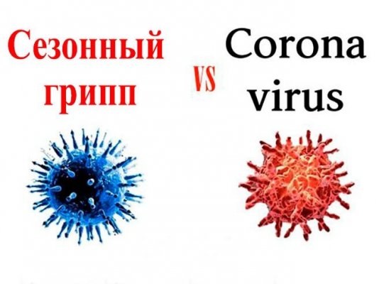 a361b53034c0431ffcd5d8be56581e0e_L.jpg