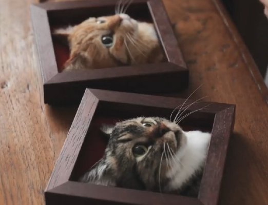 2020.10.31 07-44-33.jpg