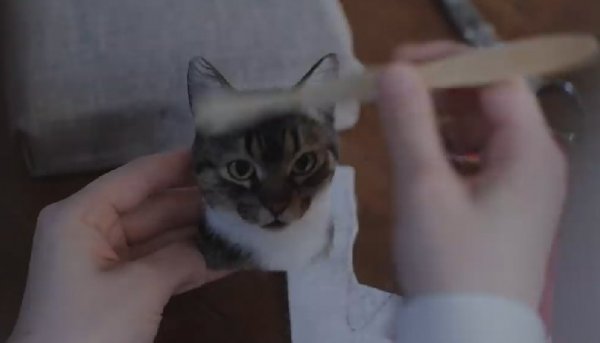 2020.10.31 07-43-32.jpg