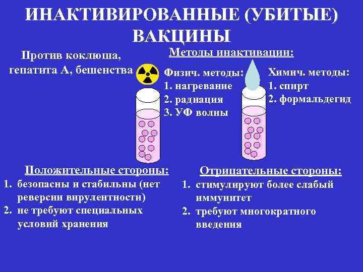 Вакцина тетракок схема применения