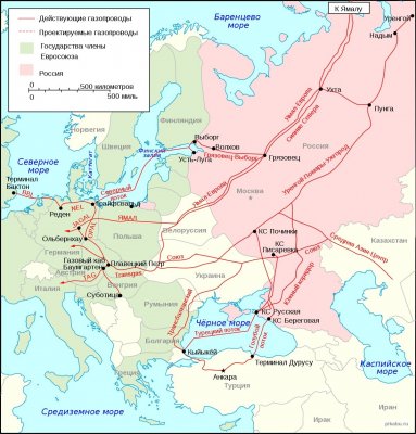 Без названия.jpg