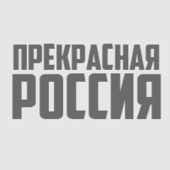 Карина Левина подтвердила помощь украинской армии