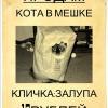 Fikus